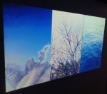 (Dis)regard at Vernon Park Art Gallery